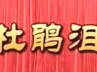 莆仙戏【杜鹃泪】全剧 二团演出